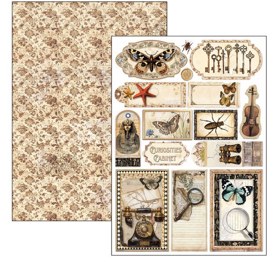 Assortiments de papiers "Cabinet of Curiosities"