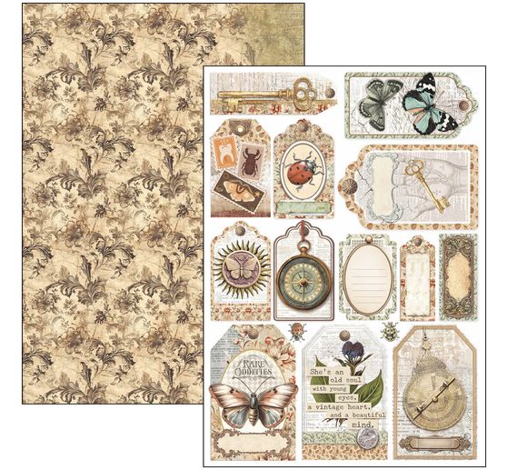 Assortiments de papiers "Cabinet of Curiosities"