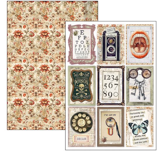 Assortiments de papiers "Cabinet of Curiosities"