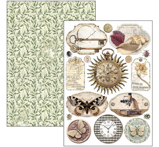 Assortiments de papiers "Cabinet of Curiosities"