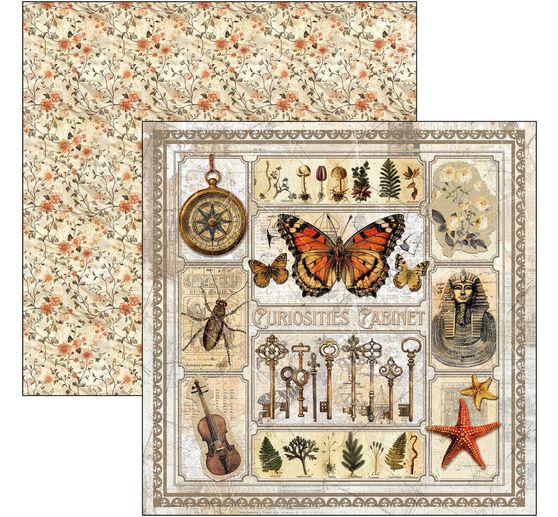 Scrapbook-Papier "Cabinet of Curiosities"
