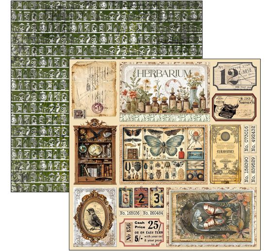 Scrapbook-Papier "Cabinet of Curiosities"