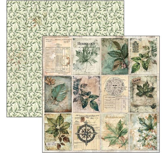 Scrapbook-Papier "Cabinet of Curiosities"