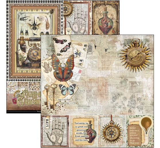 Scrapbook-Papier "Cabinet of Curiosities"