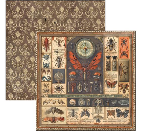 Scrapbook-Papier "Cabinet of Curiosities"