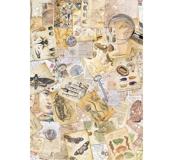 Motiv-Strohseiden Sortiment "Carbinet of Curiosities", 8er-Set