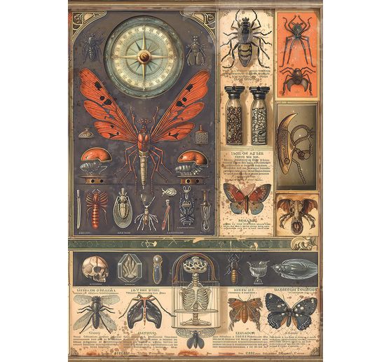 Motiv-Strohseiden Sortiment "Carbinet of Curiosities", 8er-Set
