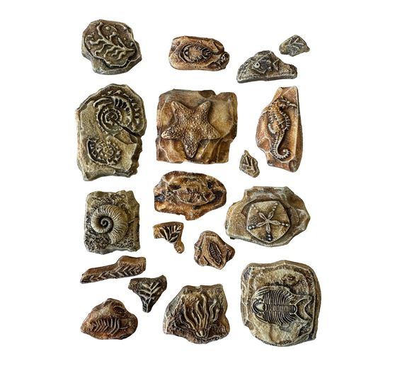 Soft Modellierform A5 "Silent Sea - Fossils"