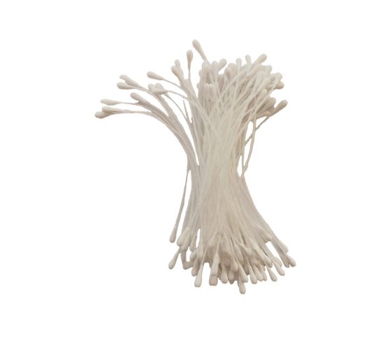Stamens "Stamens"