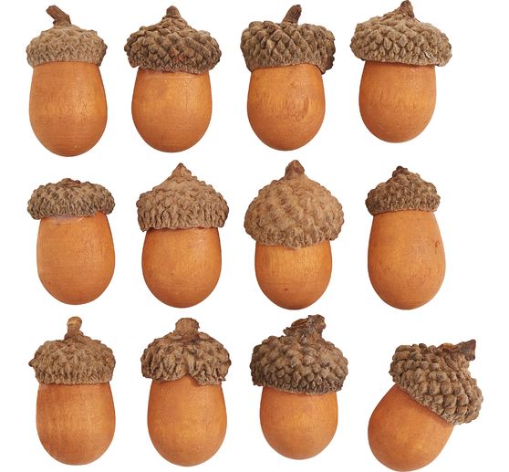 Glands de chêne en bois VBS, 12 pc.