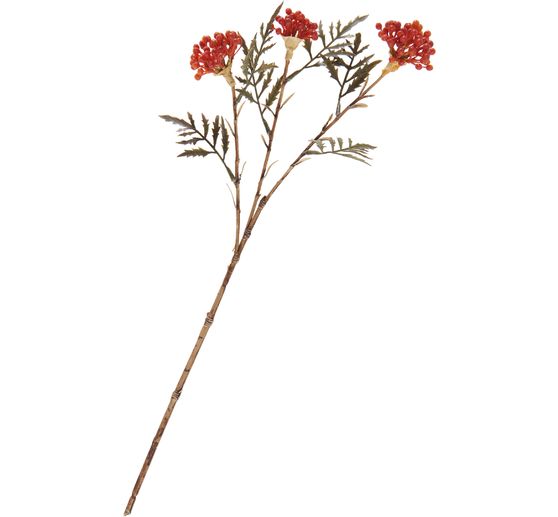 Berry branch