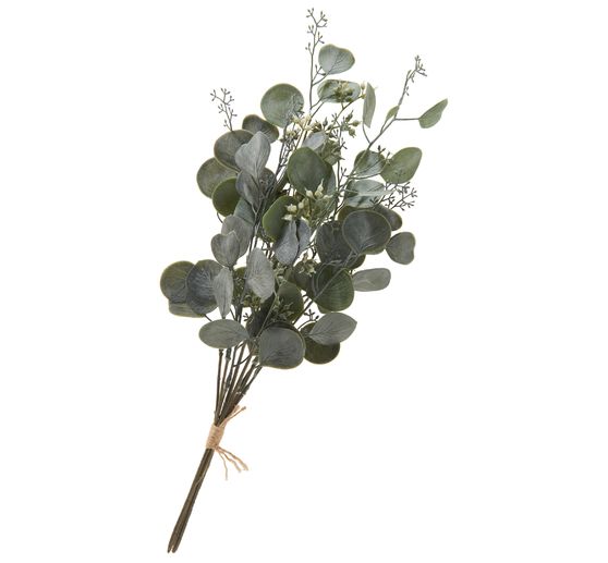 Bouquet d'eucalyptus « Ella »