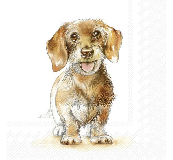 Serviette « Fritz »