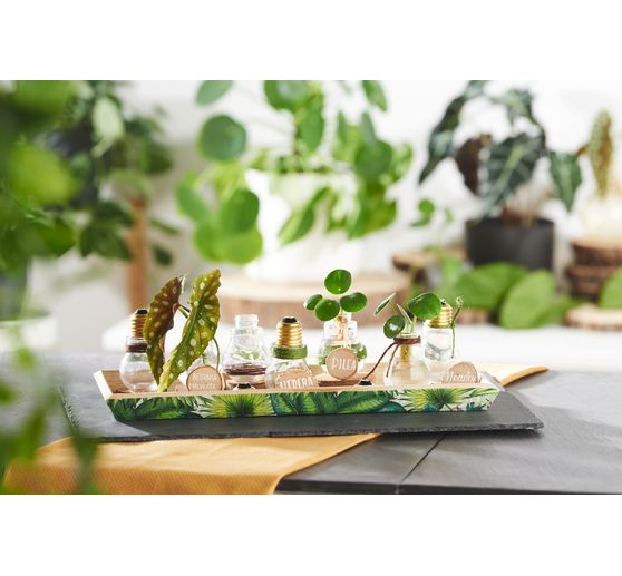 Plateau-coupelle en bois VBS