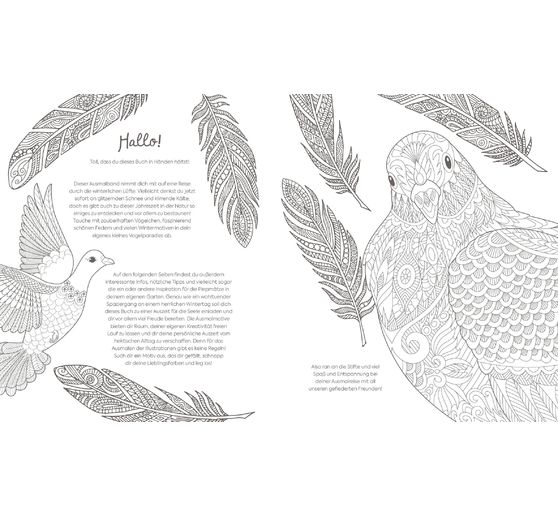 Buch "Winterliche Vogelwelt"