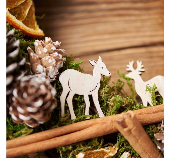 Pot-pourri VBS « Forêt »