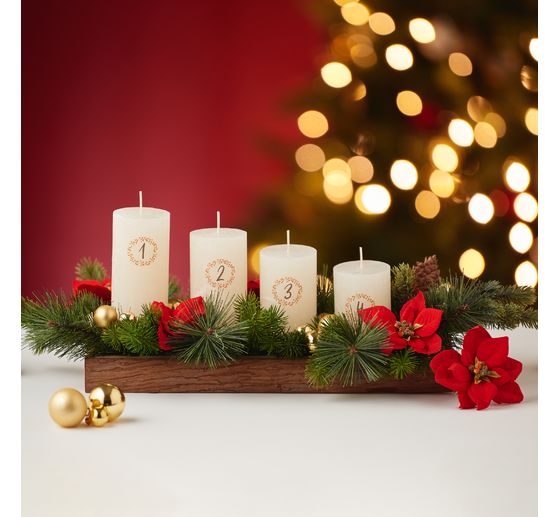 Tige de poinsettia « Wena »