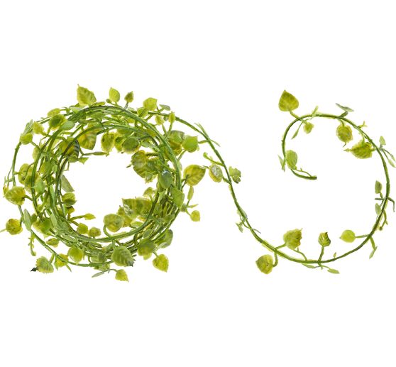 Pinula climbing plant