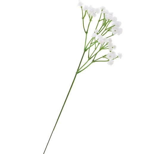 Gypsophila pick "Gypso"