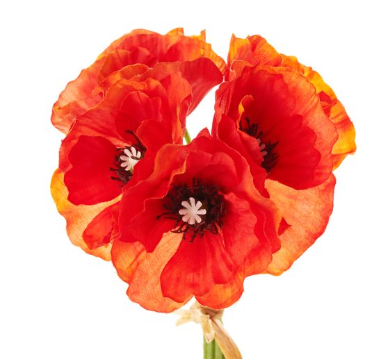 Poppy bunch, orange, orange