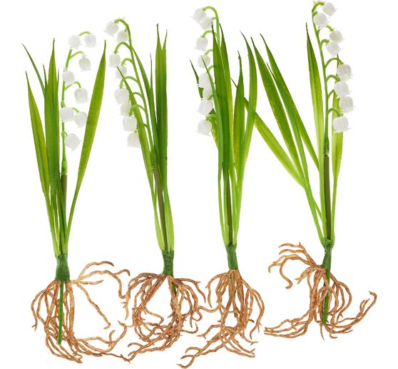 Lily of the valley with roots