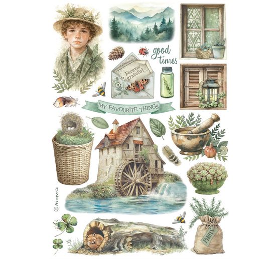 Washi Pad « Herbarium Silvae »