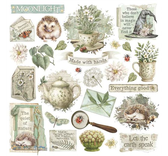 Assortiment de Rub On « Herbarium Silvae »