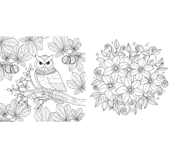 Book "Waldgefl&uuml;ster"