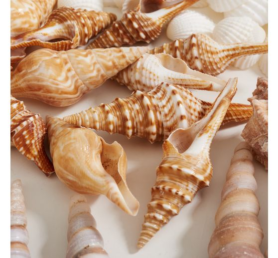 Seashell mix, natural