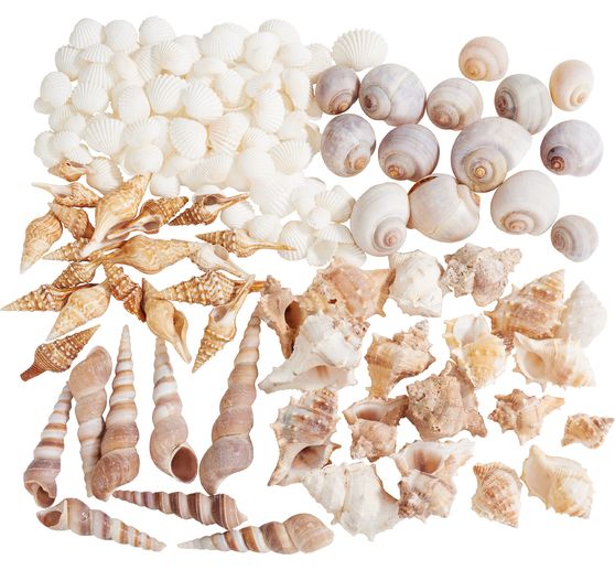 Seashell mix, natural