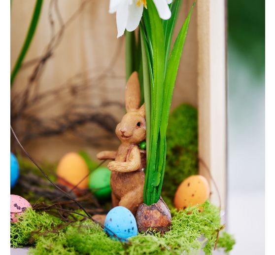 Fr&uuml;hjahrsblumen Mix mit Zwiebel
