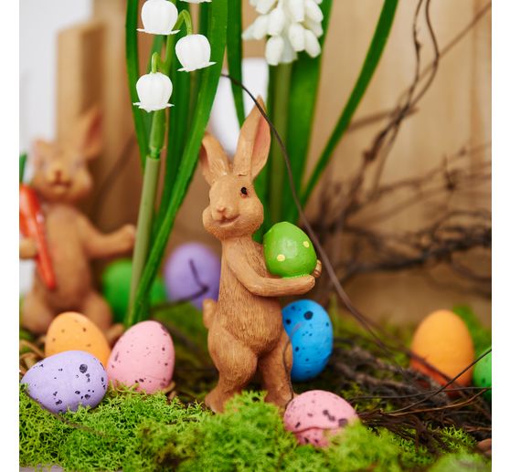 Fr&uuml;hjahrsblumen Mix mit Zwiebel