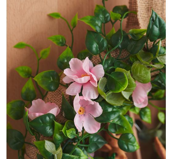 Eukalyptus-Busch, green