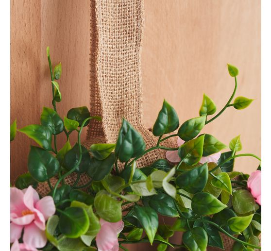 Eukalyptus-Busch, green