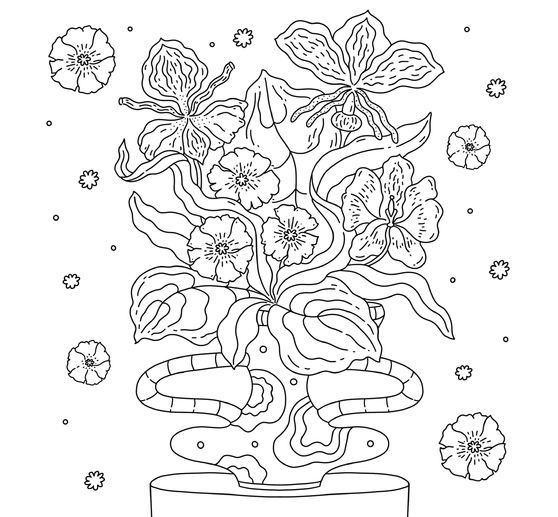 Livre &laquo; Colorful World - Bl&uuml;tentanz &raquo;