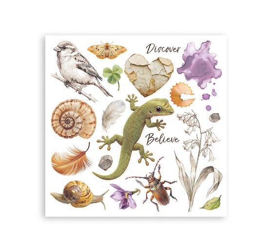 Assortiment de Rub On &laquo; All Around &raquo;