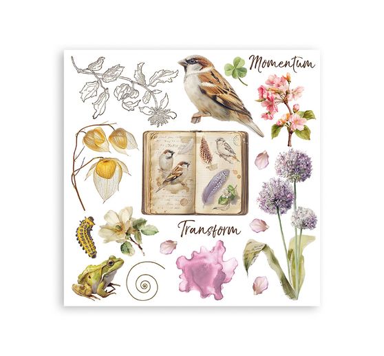 Assortiment de Rub On &laquo; All Around &raquo;