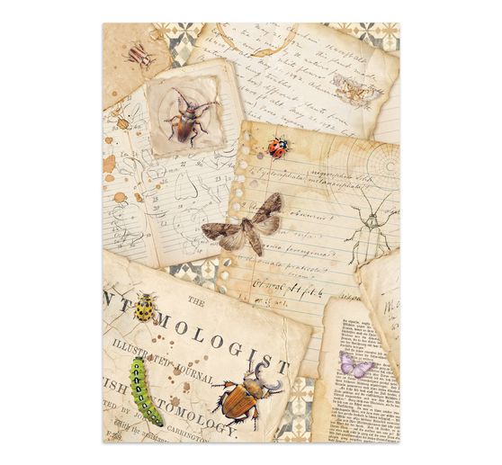 Junk Journal Book &laquo; All Around &raquo;