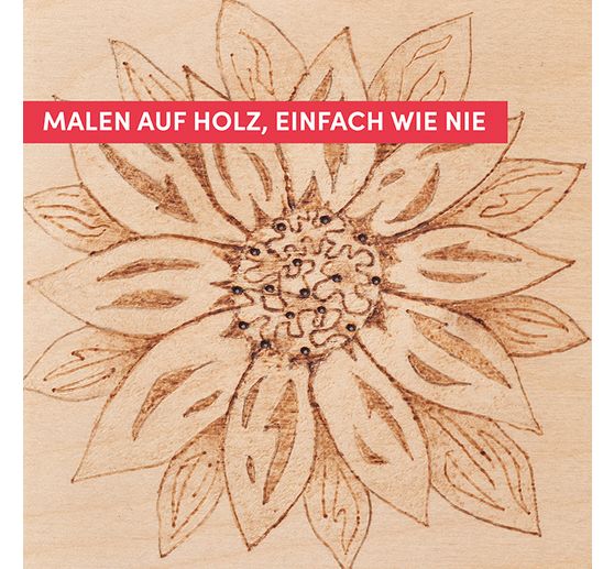 Buch "Brandmalerei f&uuml;r Einsteiger"