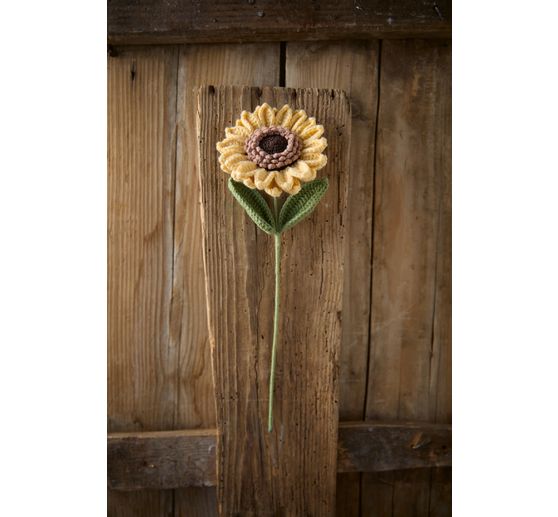 Livre &laquo; Romantische Blumen h&auml;keln &raquo;