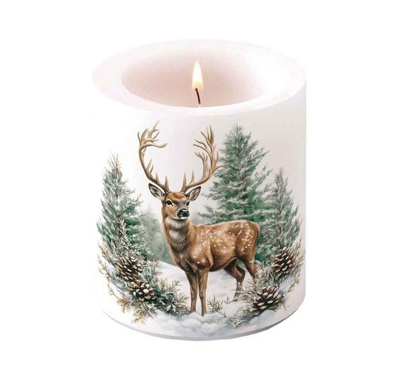 Set de serviettes VBS &laquo; Winter Season &raquo;