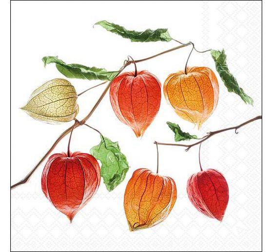 Serviette &laquo; Physalis &raquo;