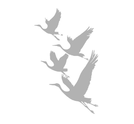 Pochoir VBS &laquo; Grues &raquo;, A4