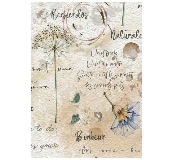 Stamperia Motiv-Strohseiden Sortiment "Flowers and Poems", DIN A6, 8er Set
