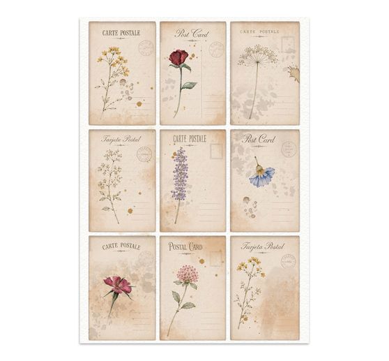 A5 Junk Journal Focus Points Stamperia &laquo; Flowers and Poems &raquo;