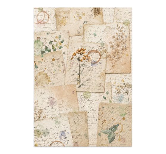 A5 Junk Journal Focus Points Stamperia &laquo; Flowers and Poems &raquo;
