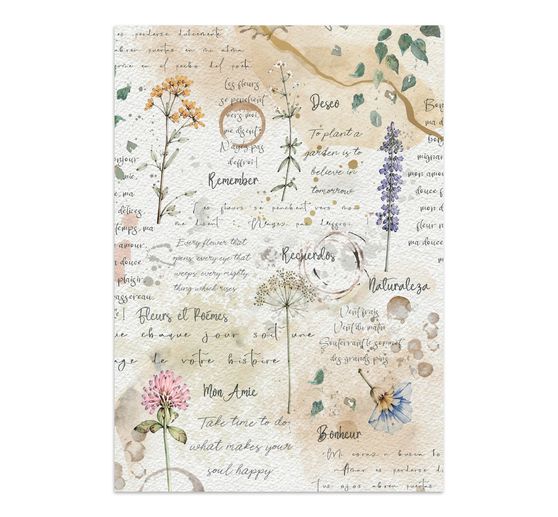 A5 Junk Journal Focus Points Stamperia &laquo; Flowers and Poems &raquo;