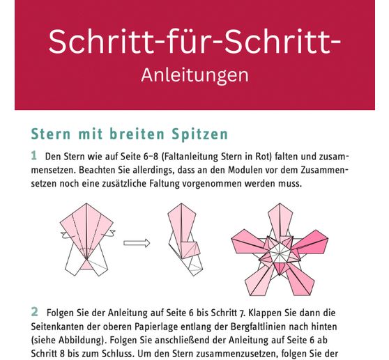 Book "Zarte Origamisterne (kreativ.kompakt.)"