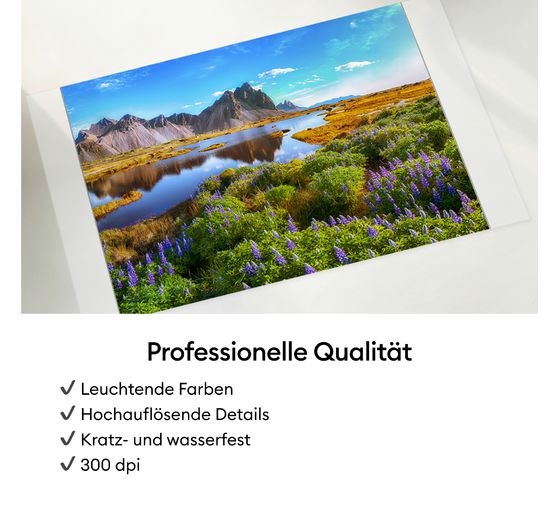 Cricut StickerPix Print "Scout" Essential Bundle