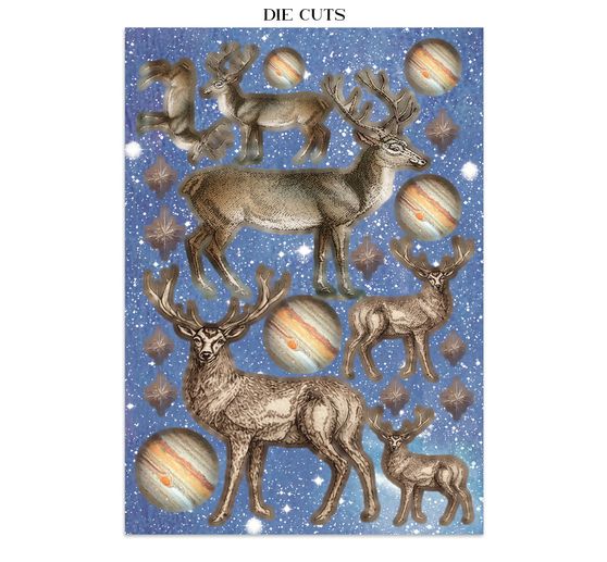 Stamperia A5 Junk Journal Focus Points "Cosmos"